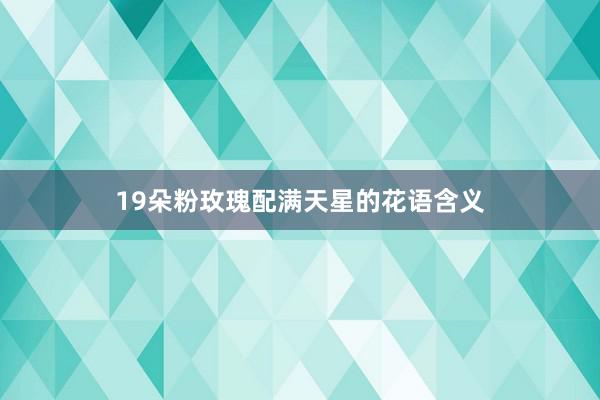 19朵粉玫瑰配满天星的花语含义