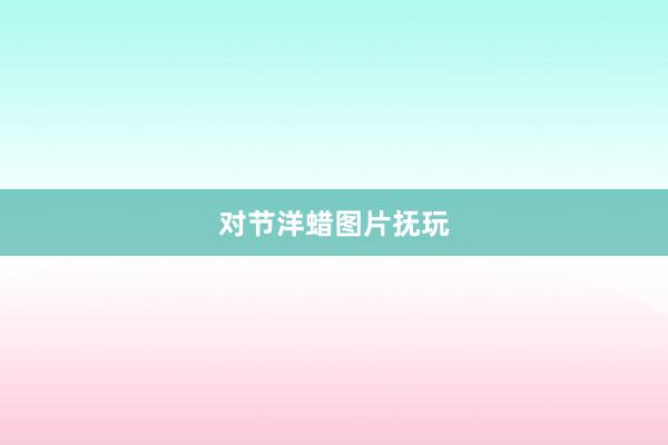 对节洋蜡图片抚玩