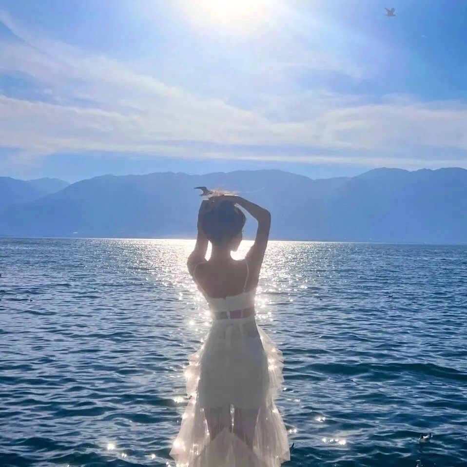 忠犬帕尔玛国语